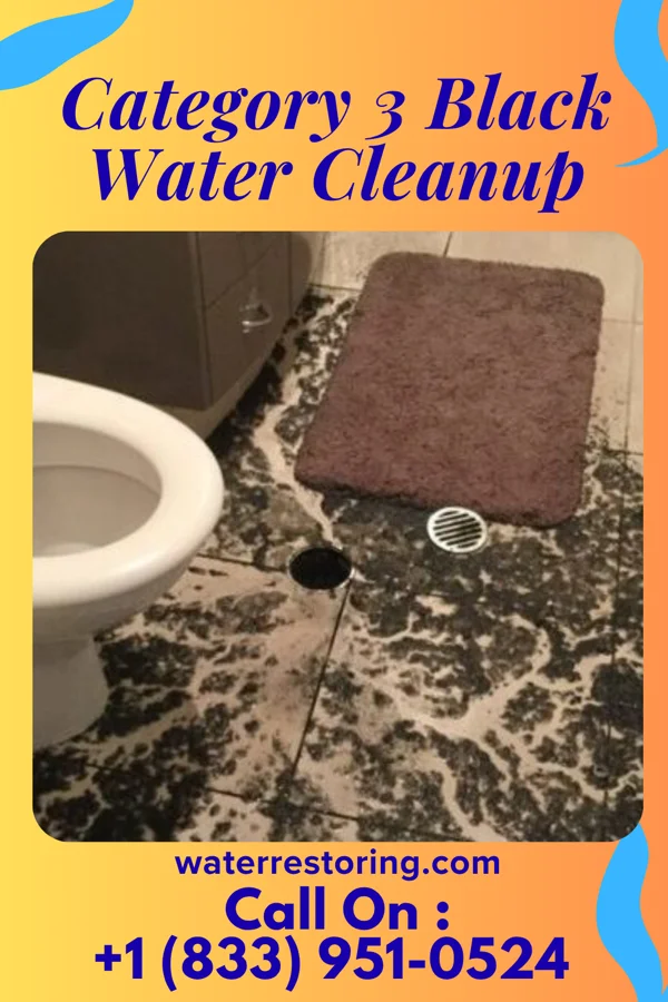Category 3 Black Water Cleanup in High Bridge, WA
