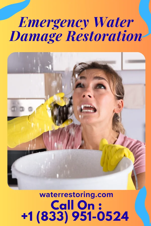 Emergency Water Damage Restoration in High Bridge, WA