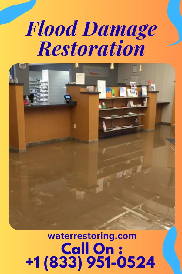 Flood Damage Restoration in High Bridge, WA