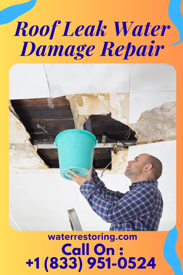 Roof Leak Water Damage Repair in High Bridge, WA