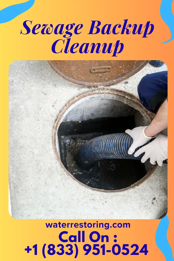 Sewage Backup Cleanup in High Bridge, WA